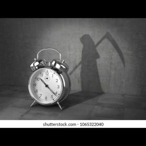 Meet your Posher, Tom